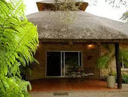 Matumi Lodge | Limpopo - Maruleng - Hoedspruit