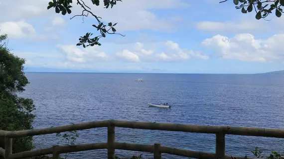 Alexis Cliff Dive Resort | Bohol - Dauis