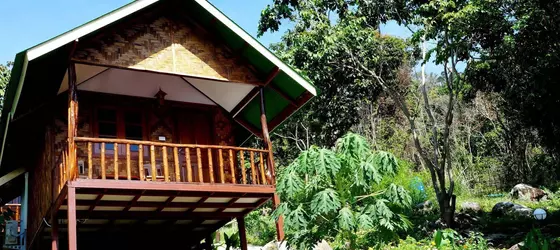 Phi Phi Jungle Hill Bungalow | Krabi İli - Ko Phi Phi