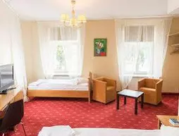 Alexa Old Town Hotel | Vilnius (ve civarı) - Vilnius