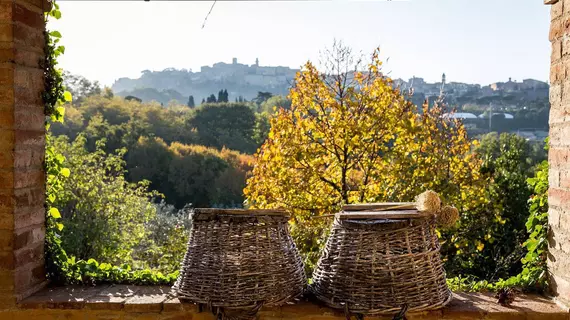 Fattoria San Martino | Toskana - Siena (vilayet) - Montepulciano