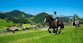 Wohlfühlhotel Martinerhof | Salzburg (eyalet) - Sankt Johann im Pongau - Sankt Martin am Tennengebirge