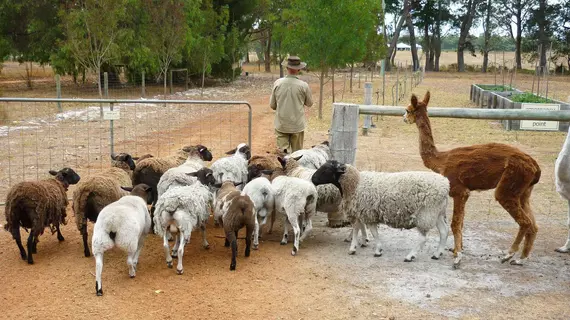 Margaret River Hideaway & Farmstay | Batı Avustralya - Bramley