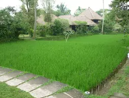 Ananda Cottages | Bali - Ubud - Kedewatan