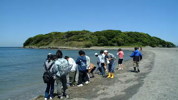 Kyukamura Tateyama | Şiba (idari bölge) - Tateyama