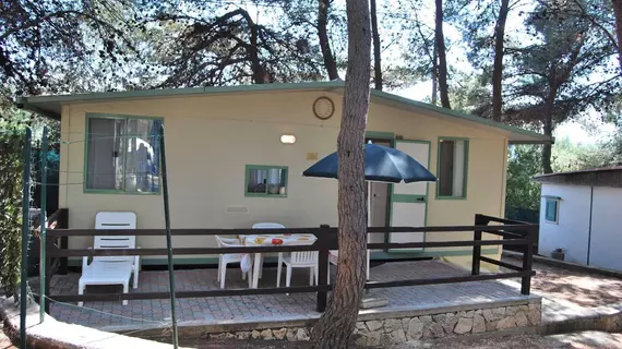 Villaggio Camping Punta Lunga | Puglia - Foggia (il) - Vieste - Defensola