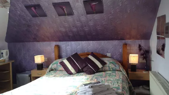 Aquarius B&B | Cornwall (kontluk) - Newquay