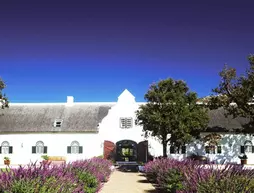 Steenberg Hotel | Western Cape (il) - West Coast DC - Drakenstein - Cape Town (ve civarı) - Cape Town - Lakeside