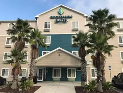 WoodSpring Suites Orlando South | Florida - Orlando (ve civarı) - International Drive