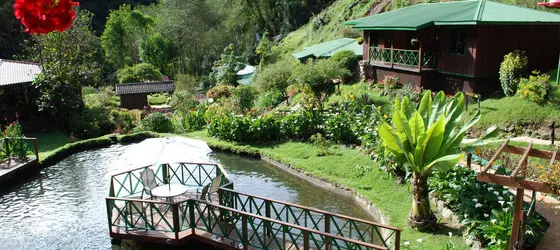 Trogon Lodge | San Jose (ili) - Dominical (ve civarı) - Páramo