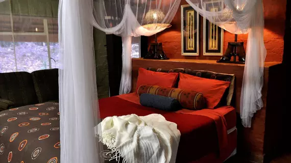 Mafigeni Safari Lodge | Limpopo - Greater Tzaneen - Gravelotte