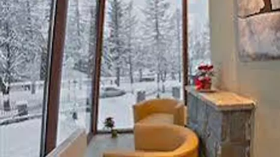 Hotel Willa Pod Skocznią | Küçük Polonya Voyvodalığı - Zakopane