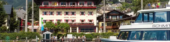 Hotel Seehof | Salzburg (eyalet) - Zell am See - Zell am See