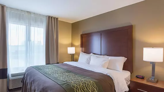 Comfort Inn and Suites Zachary | Louisiana - Baton Rouge (ve civarı) - Zachary