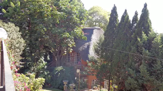 Treetops & Treats Guest House | Gauteng - City of Tshwane - Johannesburg (ve civarı) - Pretoria - Muckleneuk