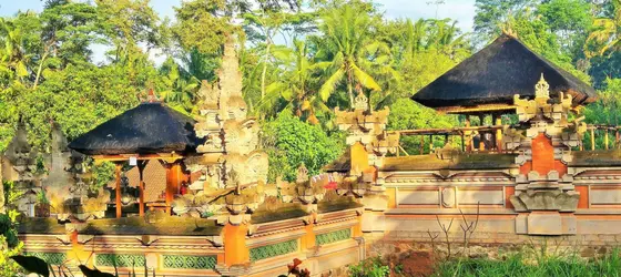 Villa Saraswati | Bali - Ubud - Kedewatan