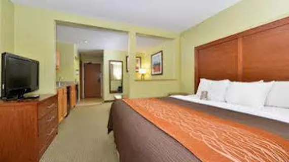 Comfort Inn & Suites Black River Falls | Wisconsin - Black River Şelaleleri (ve civarı) - Black River Şelaleleri