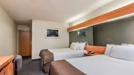 Microtel Inn & Suites by Wyndham Bethel/Danbury | Connecticut - Danbury (ve civarı) - Bethel