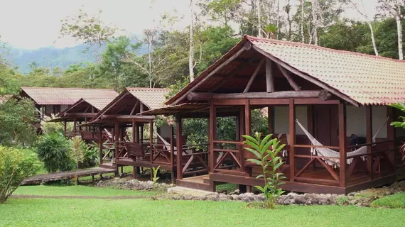 La Anita Rainforest Ranch | Alajuela (ili) - Guayabo