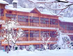 Negis Hotel Mayflower | Himaşal Pradeş - Manali (ve civarı) - Kullu