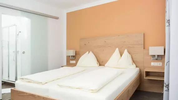 Pension Irlingerhof | Upper Austria (Yukarı Avusturya) - Tiefgraben