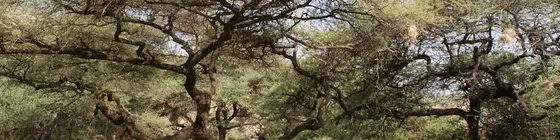 Lake Natron Tented Camp | Arusha Bölgesi - Natron Gölü