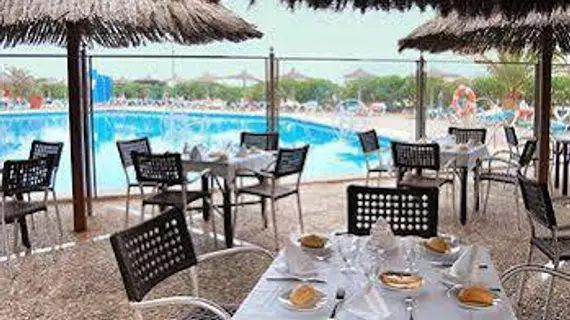 Hotel Beverly Playa | Balearic Adaları - Mayorka Adası - Calvia - Peguera