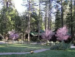 Quiet Creek Inn | Kaliforniya - Riverside County - Idyllwild