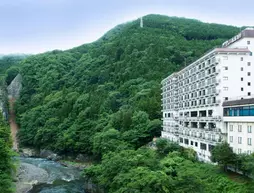 Hotel New Ohruri | Toçigi (idari bölge) - Nikko