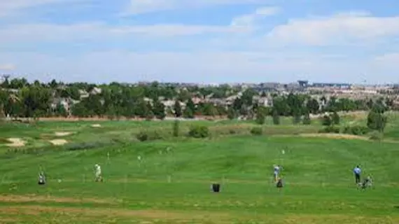 Lone Tree Golf Club and Hotel | Kolorado - Denver (ve civarı) - Lone Tree