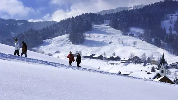 Hirschen Schwarzenberg | Vorarlberg - Schwarzenberg