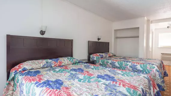 Carolina Tarheel Motel | Güney Karolayna - Myrtle Plajı (ve civarı) - Myrtle Beach