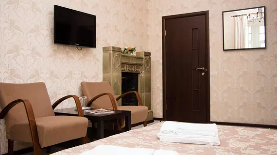 Vikena Hotel | Leningrad Bölgesi - St. Petersburg (ve civarı) - St. Petersburg - Tsentralny