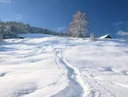 Hotel Bavaria | Bavyera - Oberallgäu - Oberstaufen