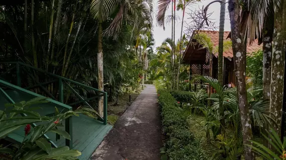 Arenal Green | Alajuela (ili) - San Carlos (kantonu) - La Fortuna