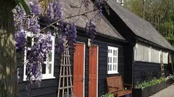 Wisteria Cottage B&B | Wiltshire (kontluk) - Salisbury - Alderbury