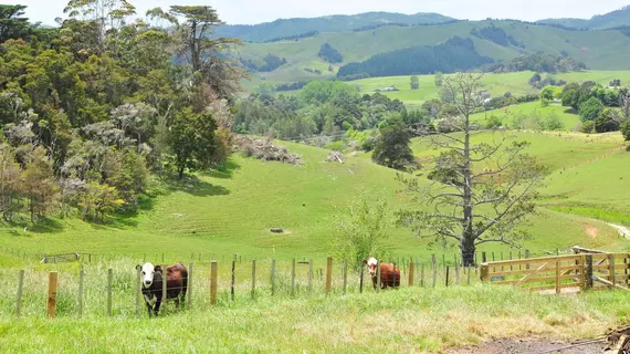 Wayby Country Retreat | Auckland Bölgesi - Wellsford