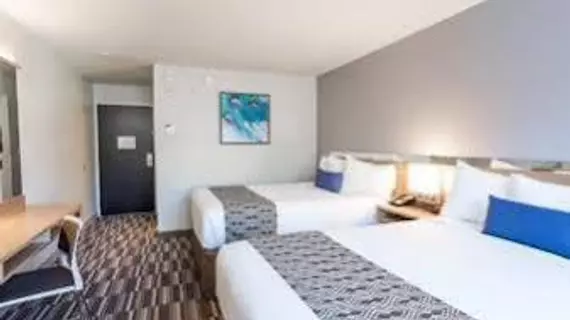 Microtel Inn and Suites by Wyndham Ocean City | Maryland - Ocean City (ve civarı) - Ocean City - West Ocean City