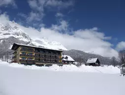 Ferienhotel Knollhof | Styria - Ramsau am Dachstein