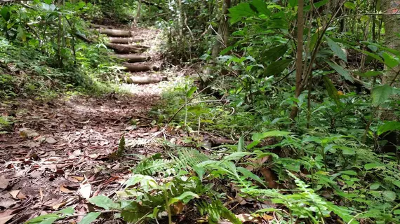 Cabana Los Pinos Hotel | Puntarenas (ili) - Monteverde