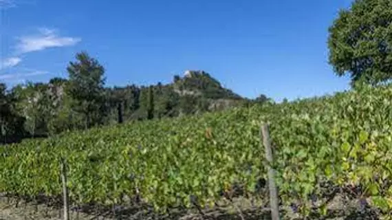 Tenuta Saiano | Emilia-Romagna - Poggio Torriana