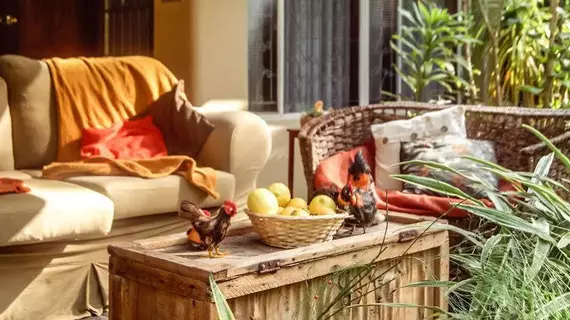 Addo Self Catering | Eastern Cape - Sundays River Valley - Addo