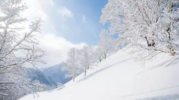 Powderhound Lodge | Hokkaido - Abuta - Niseko (ve civarı) - Kutchan