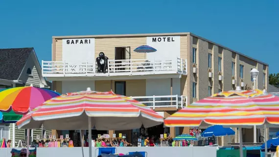 Safari Motel | Maryland - Ocean City (ve civarı) - Ocean City