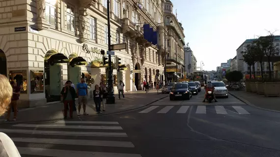 Goldfisch Apartment Vienna Opera House | Vienna (eyalet) - Viyana - Innere Stadt