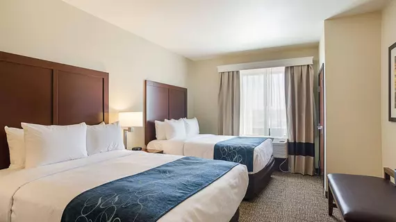 Comfort Suites Denver | Kolorado - Denver (ve civarı) - Denver - Sun Valley