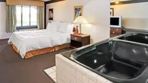 Jacuzzi Inn | Indiana - Indianapolis (ve civarı) - Indianapolis