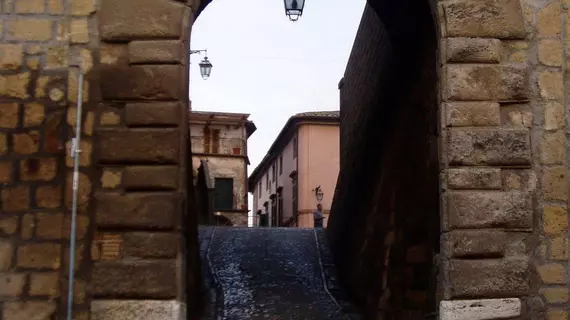 La Tana dell'Istrice | Lazio - Viterbo (vilayet) - Civitella d'Agliano - San Michele in Teverina