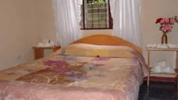 Cabinas Eddy B&B | Puntarenas (ili) - Monteverde