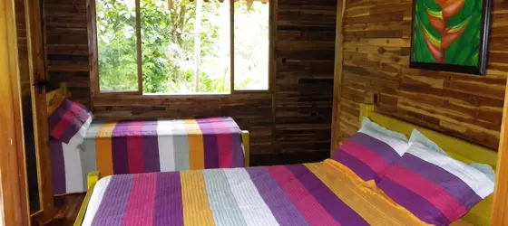 Macaw Lodge | Puntarenas (ili) - Jaco (ve civarı) - Carara